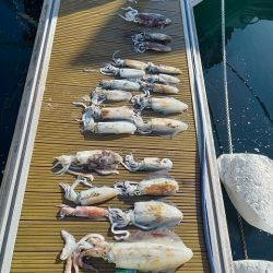 フィッシングボートACE（エース） 釣果