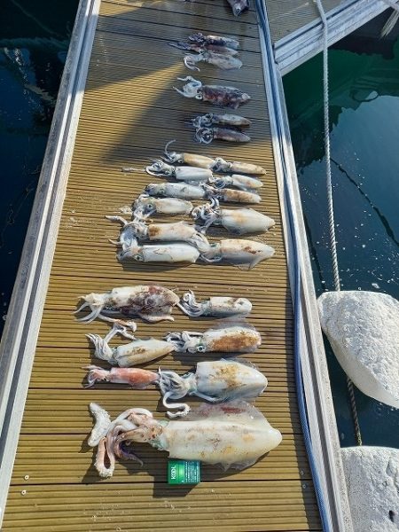 フィッシングボートACE（エース） 釣果