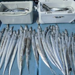 十八宝洋丸 釣果