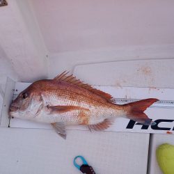 フィッシングボートACE(エース) 釣果