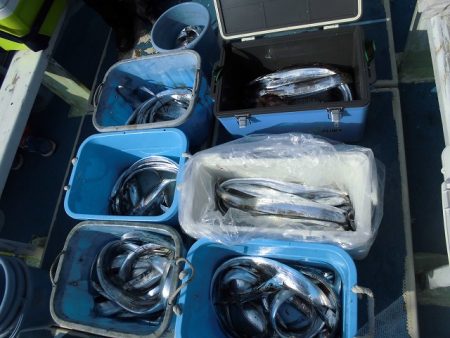 十八宝洋丸 釣果