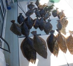 遊漁船 幸友丸 釣果