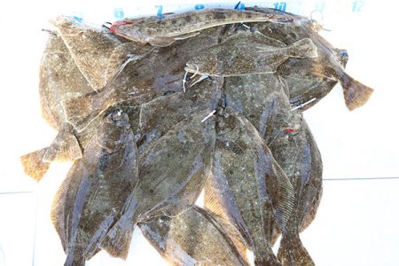 松本釣船２ 釣果