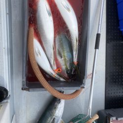 海龍丸（福岡） 釣果
