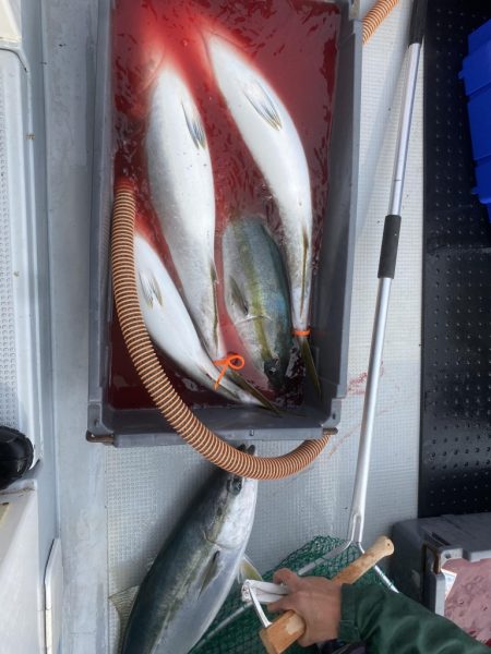 海龍丸（福岡） 釣果