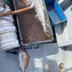 海龍丸（福岡） 釣果