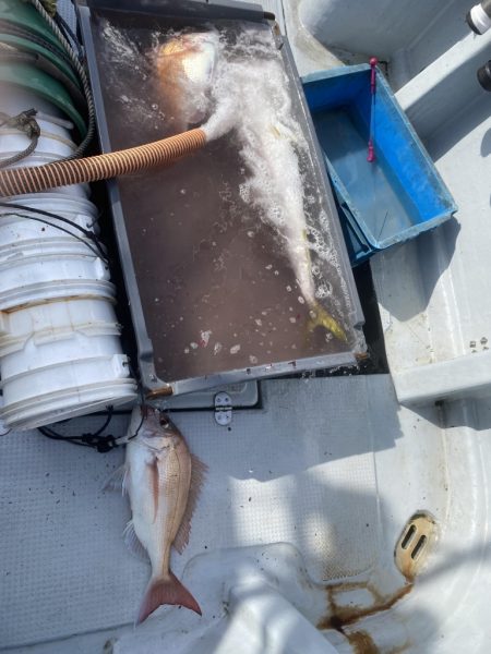 海龍丸（福岡） 釣果