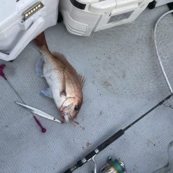 海龍丸（福岡） 釣果