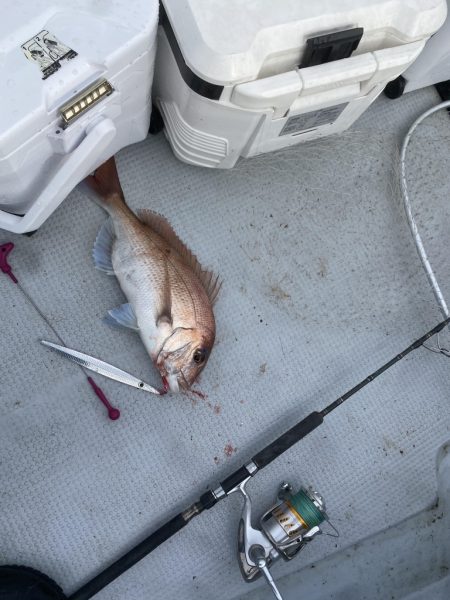 海龍丸（福岡） 釣果