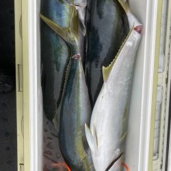 海龍丸（福岡） 釣果