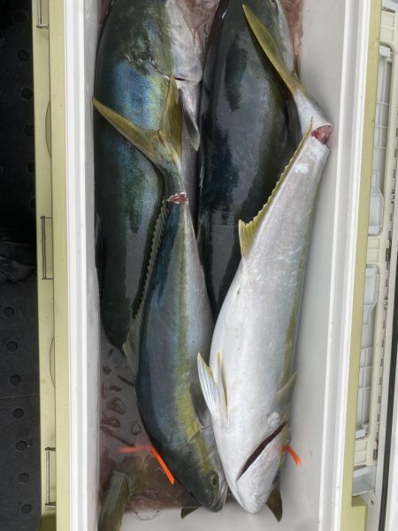 海龍丸（福岡） 釣果