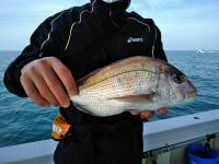 おおせき丸 釣果