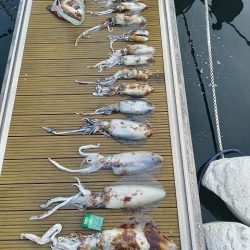 フィッシングボートACE(エース) 釣果