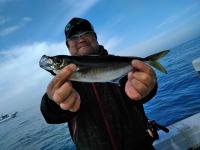 おおせき丸 釣果