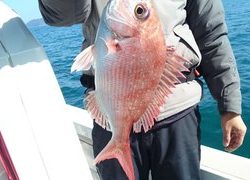 愛裕南丸 釣果