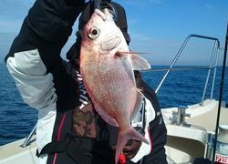 愛裕南丸 釣果