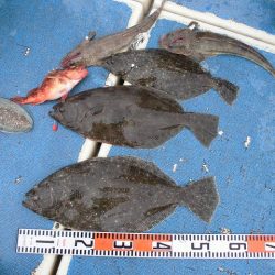 十八宝洋丸 釣果