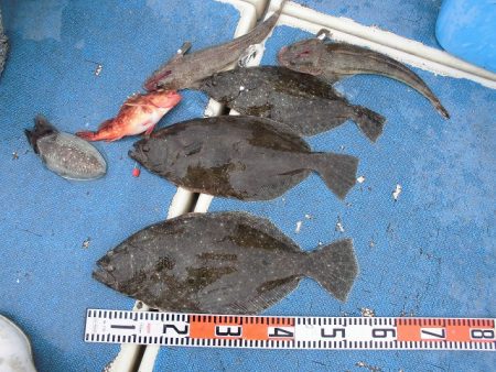 十八宝洋丸 釣果