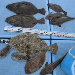 十八宝洋丸 釣果