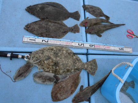 十八宝洋丸 釣果