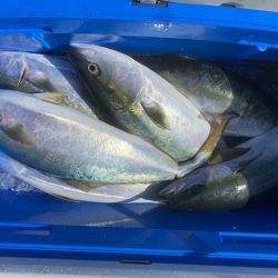 海龍丸（福岡） 釣果