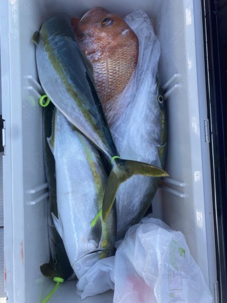 海龍丸（福岡） 釣果