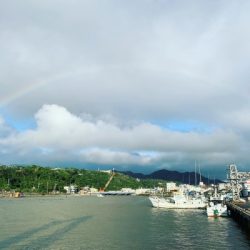 本部釣りイカダ 釣果