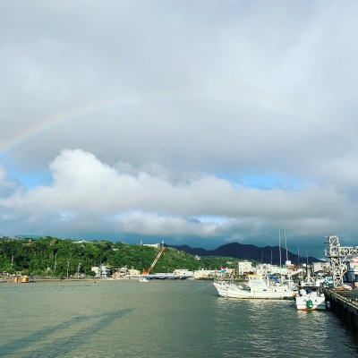 本部釣りイカダ 釣果