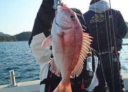 愛裕南丸 釣果