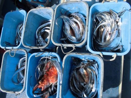 十八宝洋丸 釣果