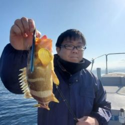 ブルーピア 釣果