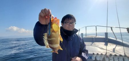 ブルーピア 釣果