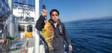 ブルーピア 釣果