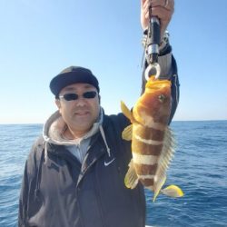 ブルーピア 釣果