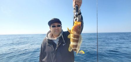 ブルーピア 釣果