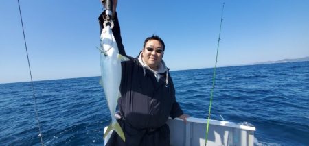 ブルーピア 釣果