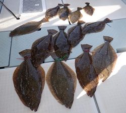 遊漁船 幸友丸 釣果