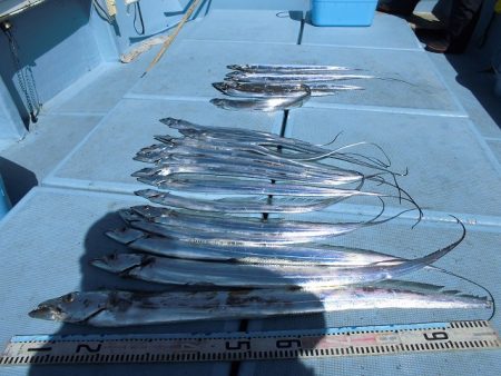 十八宝洋丸 釣果