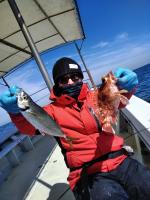 おおせき丸 釣果