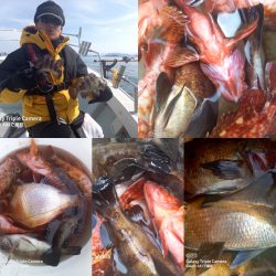 内浜丸 釣果
