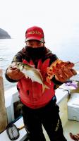 おおせき丸 釣果