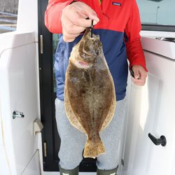 松本釣船２ 釣果