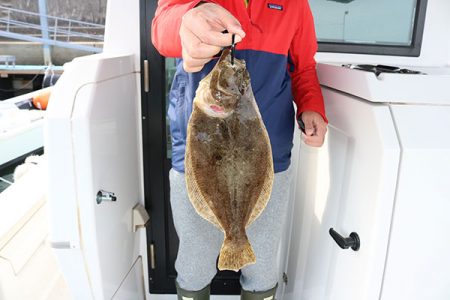 松本釣船２ 釣果