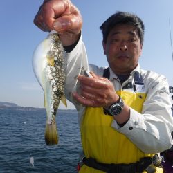 川崎丸 釣果