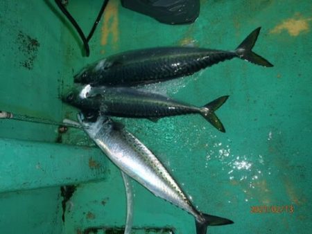 第二むつ漁丸 釣果