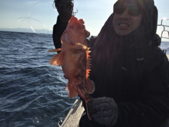鯛紅丸 釣果