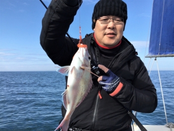 鯛紅丸 釣果
