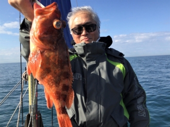 鯛紅丸 釣果