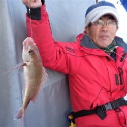 鯛紅丸 釣果