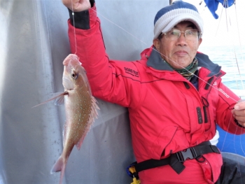 鯛紅丸 釣果